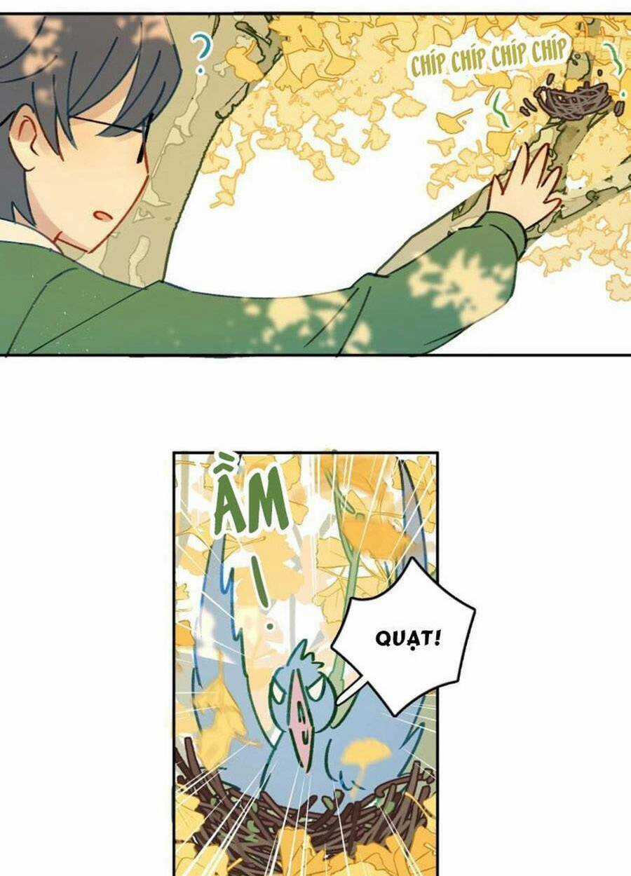 Khi Mộng Thần Yêu - Chapter 74 - Trang 35