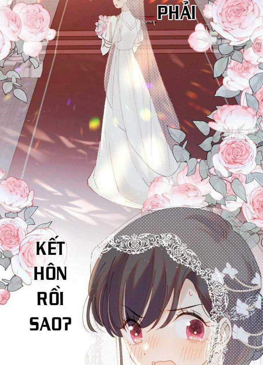 Khi Mộng Thần Yêu - Chapter 76 - Trang 15