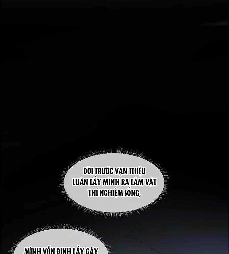 Khóa Chặt Đôi Môi - Chapter 81 - Trang 24