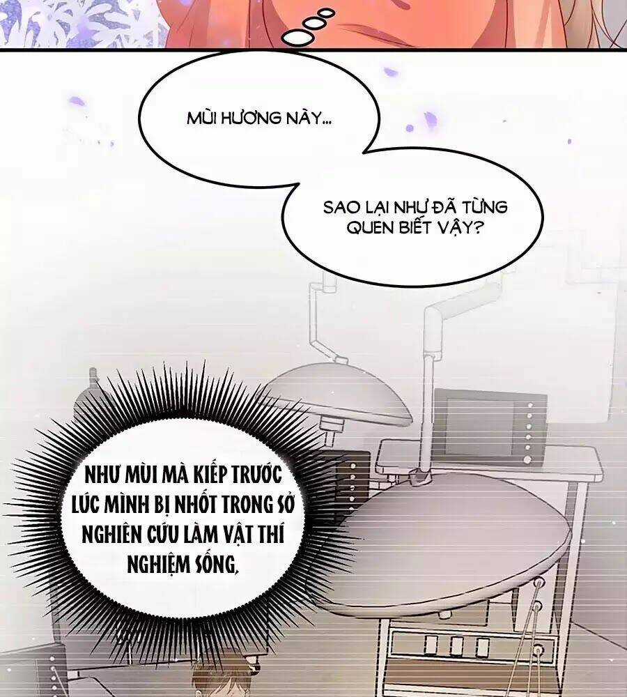 Khóa Chặt Đôi Môi - Chapter 98 - Trang 63