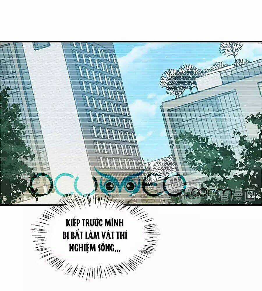 Khóa Chặt Đôi Môi - Chapter 99 - Trang 15