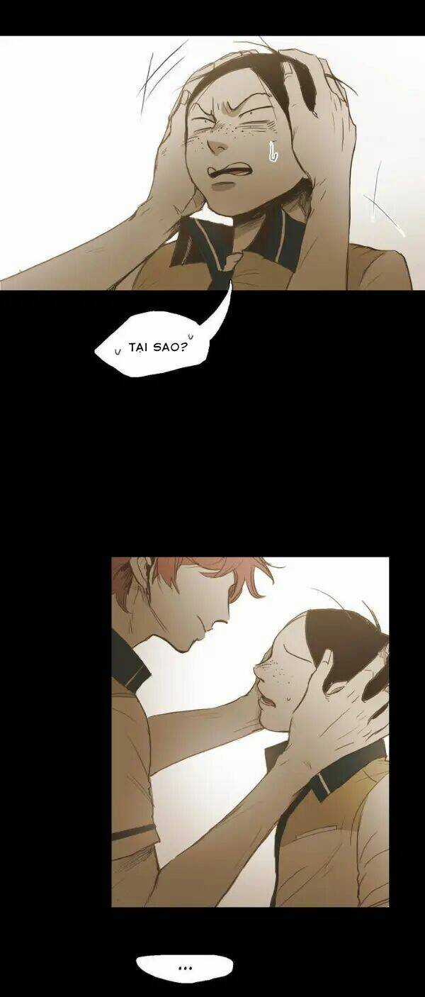 Không Bao Giờ Hiểu - Chapter 24 - Trang 15