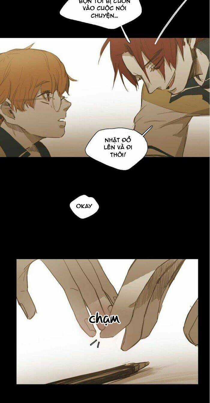 Không Bao Giờ Hiểu - Chapter 30 - Trang 15