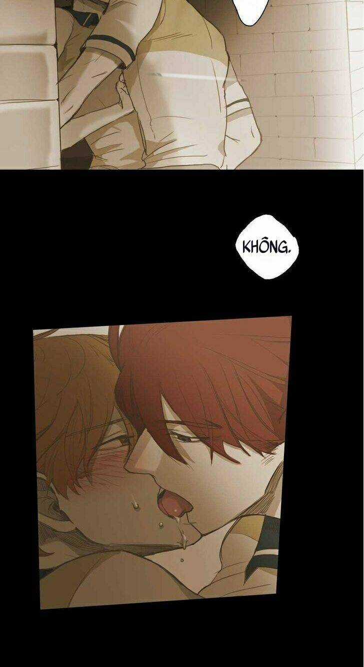 Không Bao Giờ Hiểu - Chapter 34 - Trang 4