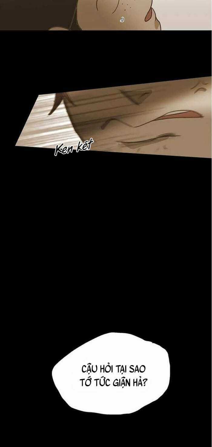 Không Bao Giờ Hiểu - Chapter 38 - Trang 38