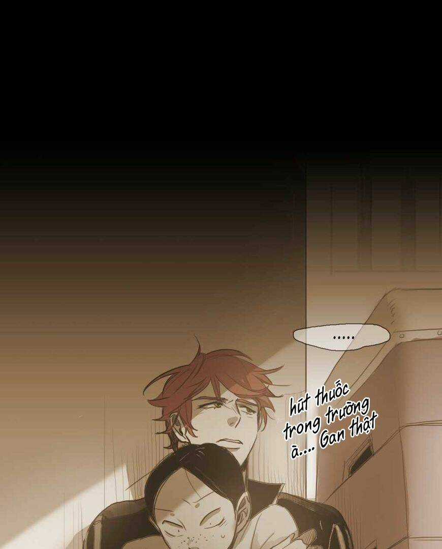 Không Bao Giờ Hiểu - Chapter 41 - Trang 28