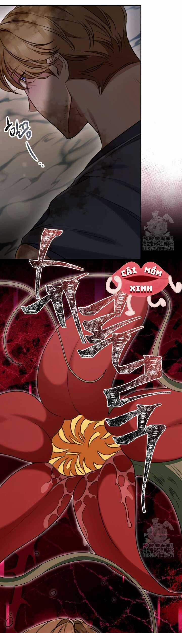 Khu Rừng Hoang Dã - Chapter 50 - Trang 11