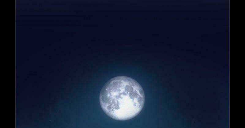 Khúc hát người cá Siren - Chapter 2 - Trang 27