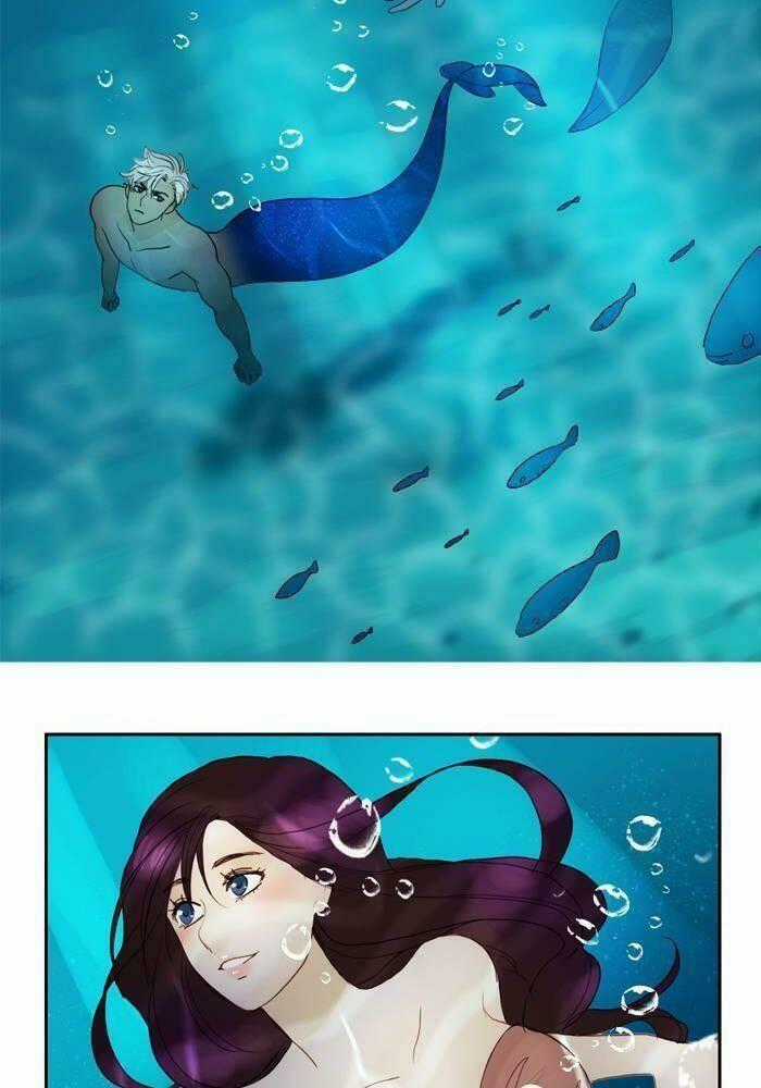 Khúc hát người cá Siren - Chapter 21 - Trang 2