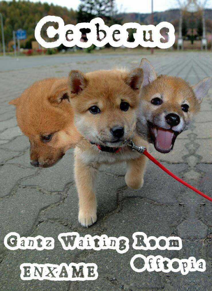 Kiba No Tabishounin - Chapter 21 - Trang 23