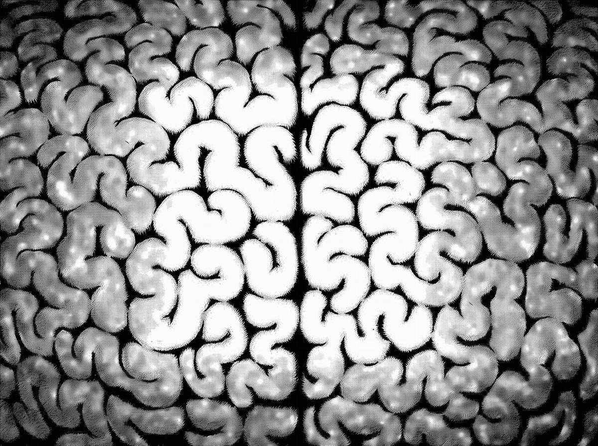 Kiếm Sĩ Đen - Chapter 311 - Trang 15