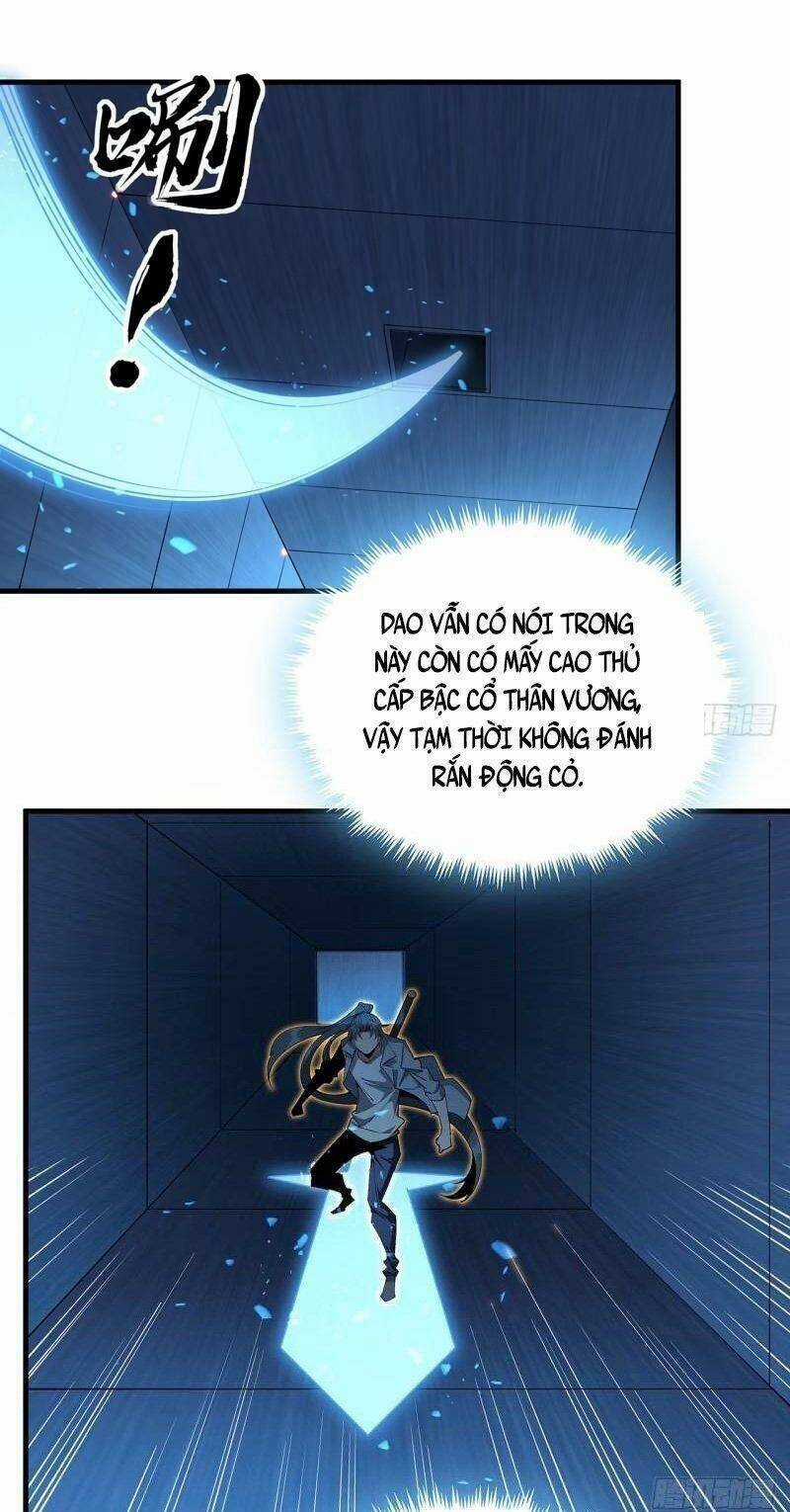 Kiếm Tu Imba Nhất Quả Đất - Chapter 217 - Trang 5