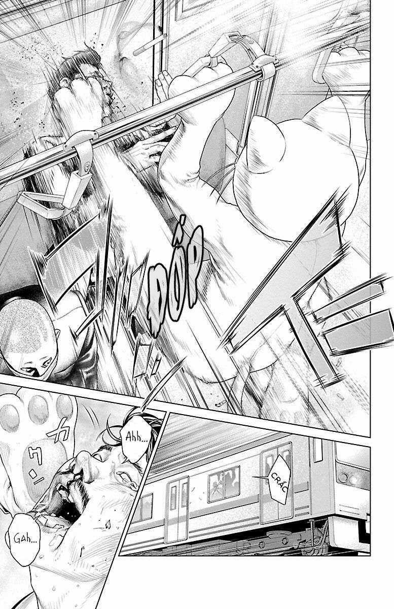 Kiến Vua - Chapter 1 - Trang 12