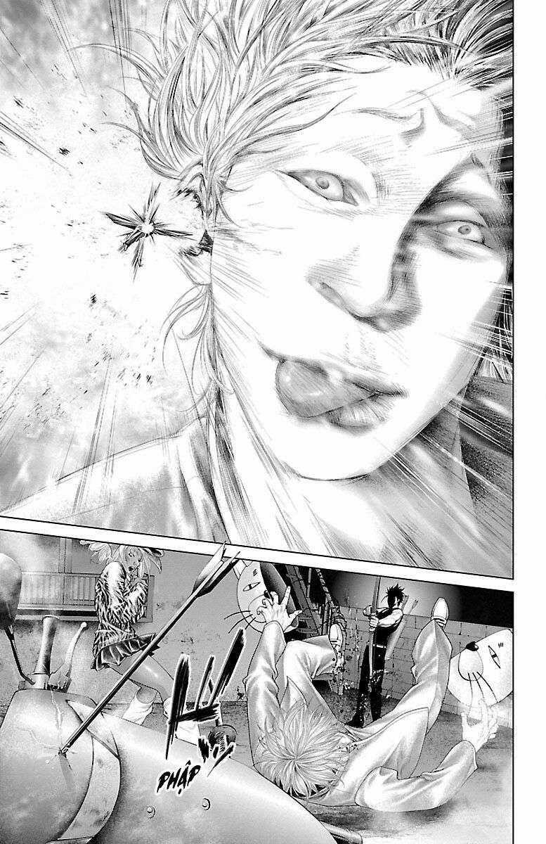 Kiến Vua - Chapter 1 - Trang 42