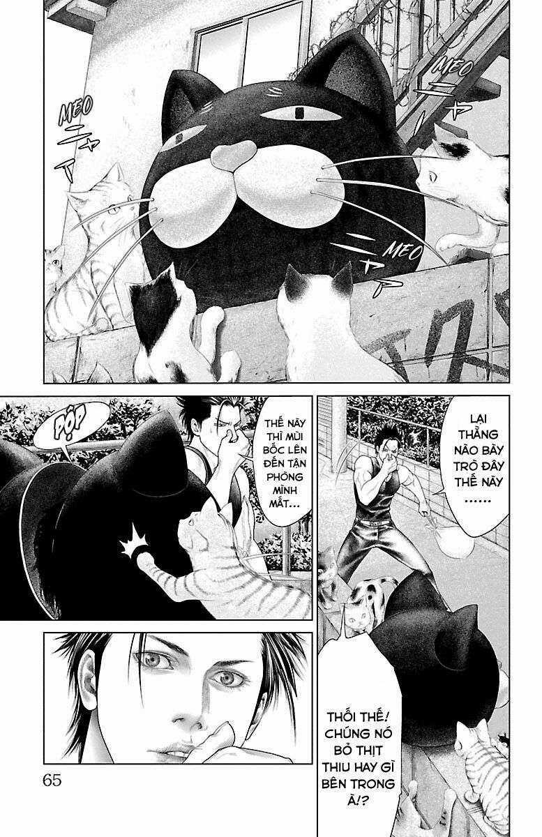 Kiến Vua - Chapter 1 - Trang 63