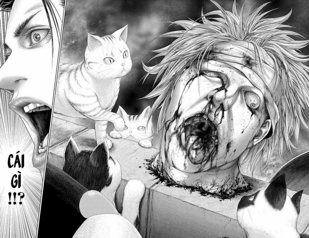 Kiến Vua - Chapter 1 - Trang 64