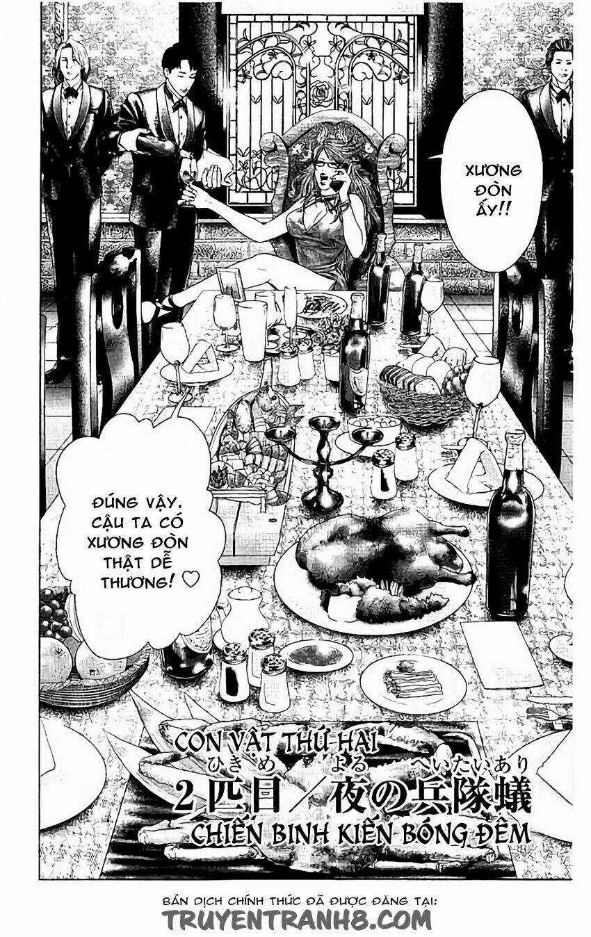 Kiến Vua - Chapter 4 - Trang 2