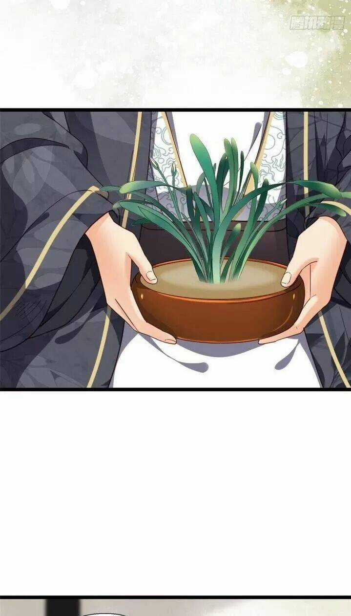 Kiều Nữ Độc Phi - Chapter 218 - Trang 4