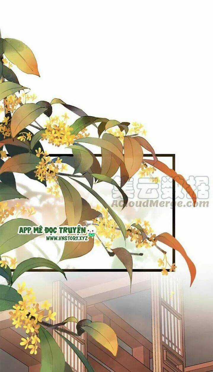 Kiều Nữ Độc Phi - Chapter 243 - Trang 28