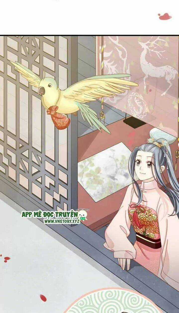 Kiều Nữ Độc Phi - Chapter 257 - Trang 4