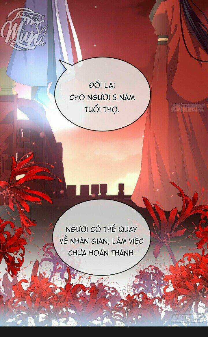 Kiều Phu Có Hỉ - Chapter 19 - Trang 14