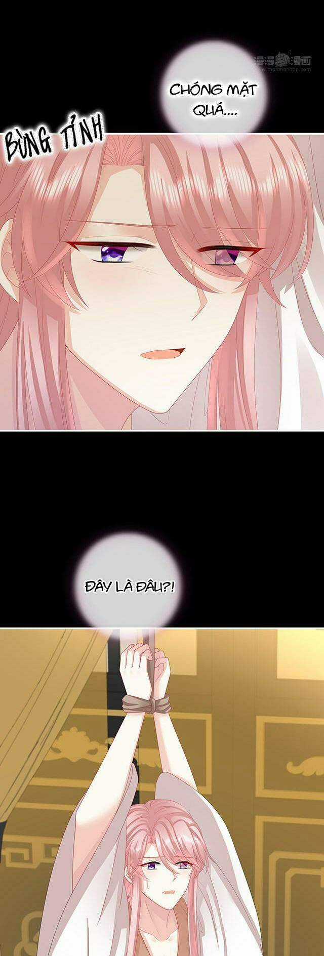 Kiều Phu Có Hỉ - Chapter 30.2 - Trang 5