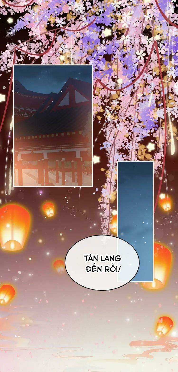 Kiều Phu Có Hỉ - Chapter 49 - Trang 21