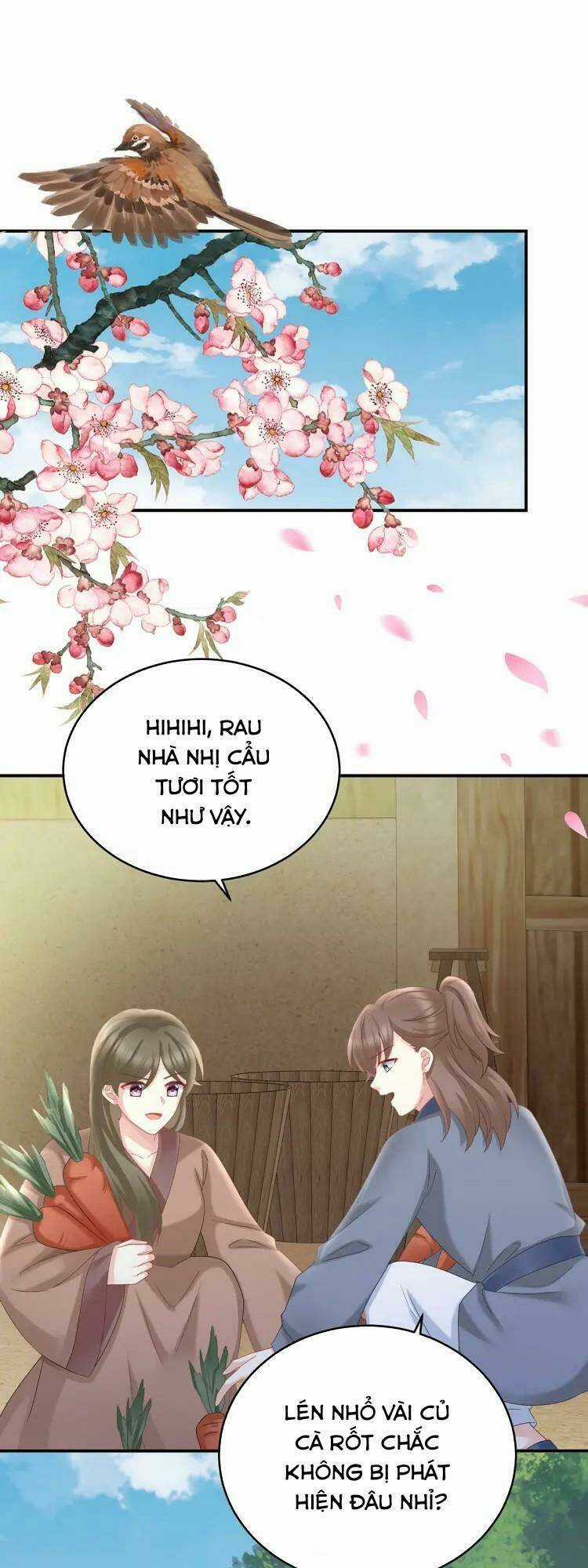 Kiều Phu Có Hỉ - Chapter 57 - Trang 4