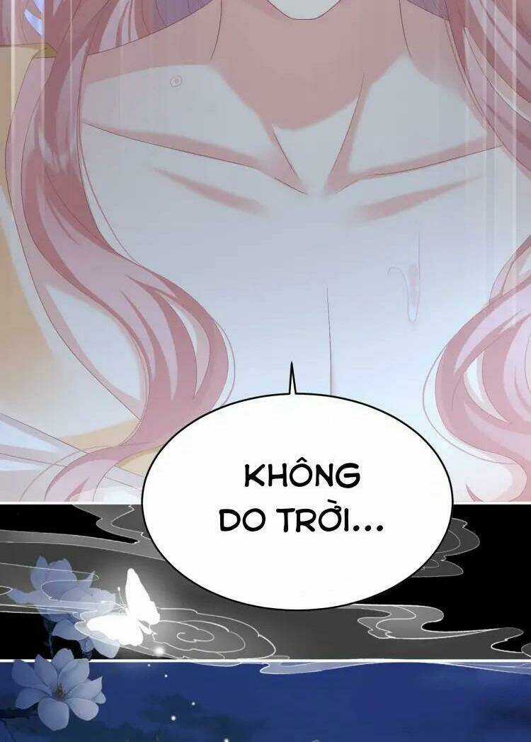 Kiều Phu Có Hỉ - Chapter 58 - Trang 13