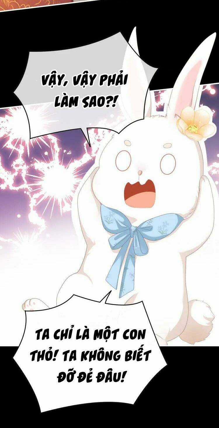 Kiều Phu Có Hỉ - Chapter 58 - Trang 6