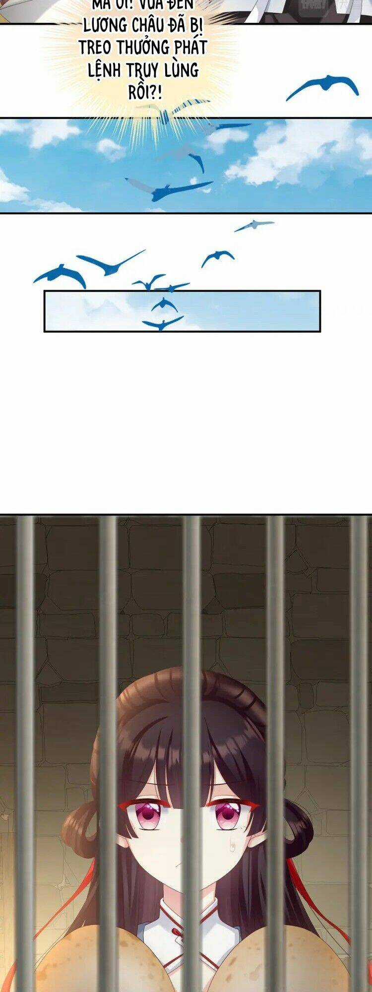 Kiều Phu Có Hỉ - Chapter 61 - Trang 14