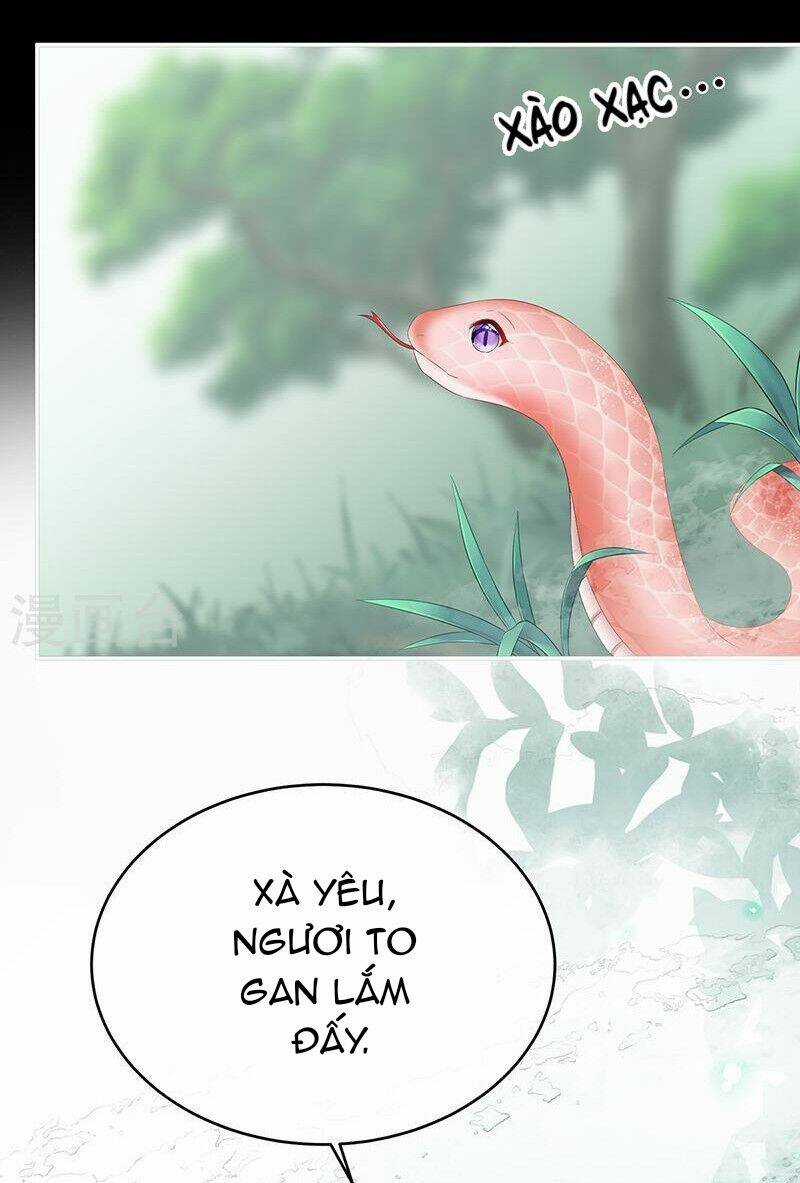 Kiều Phu Có Hỉ - Chapter 67 - Trang 11