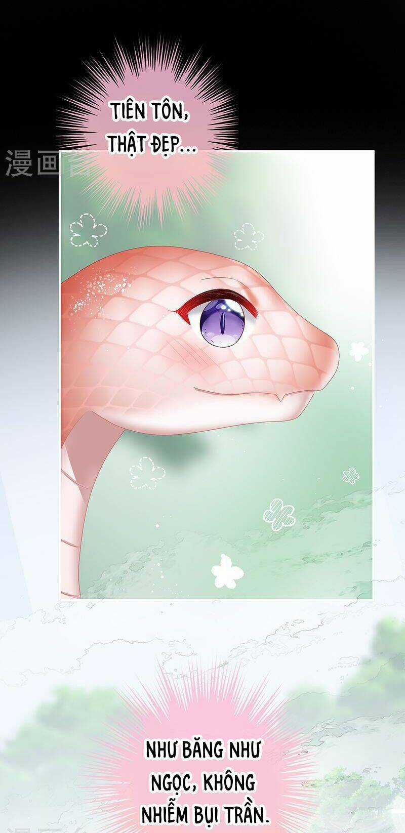 Kiều Phu Có Hỉ - Chapter 67 - Trang 17