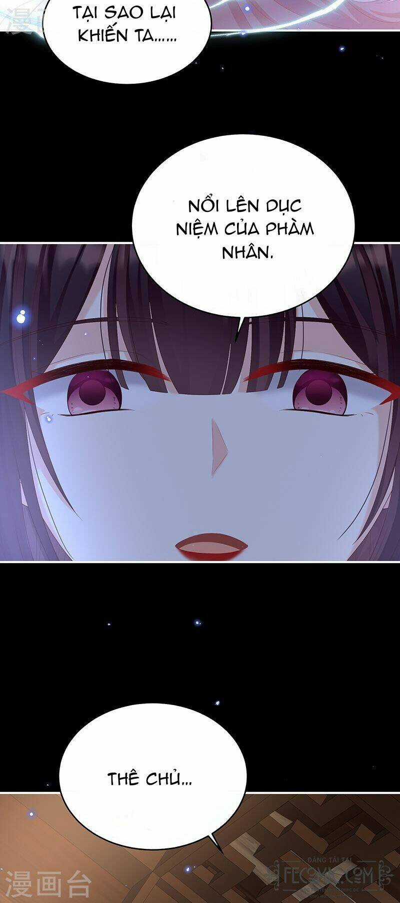 Kiều Phu Có Hỉ - Chapter 67 - Trang 4