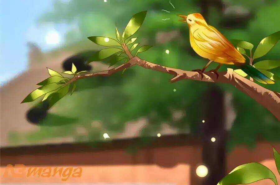 Kiêu Sủng Y Phi - Chapter 130 - Trang 25