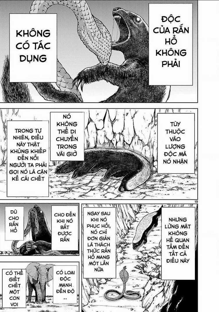 Killing Bites - Chapter 15 - Trang 21