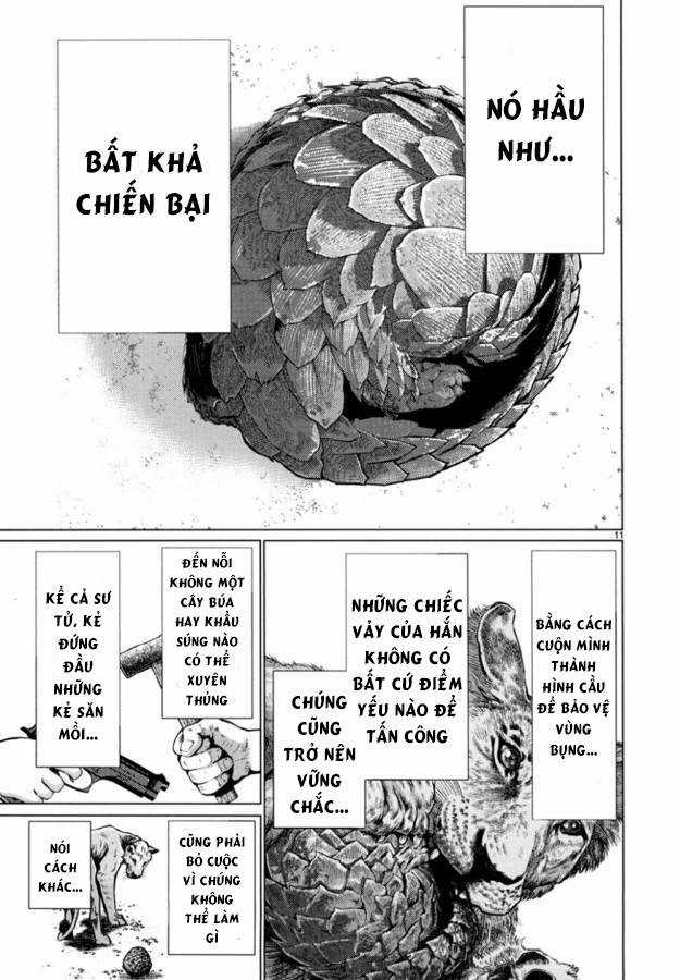Killing Bites - Chapter 24 - Trang 15