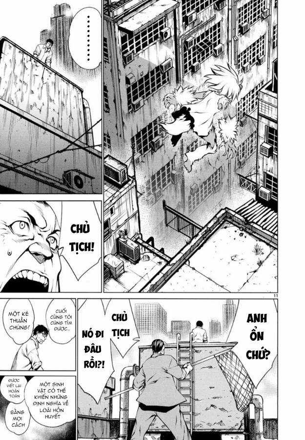 Killing Bites - Chapter 25 - Trang 16