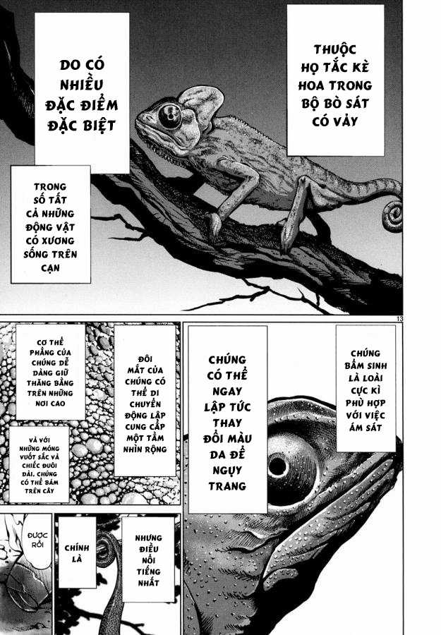 Killing Bites - Chapter 29 - Trang 17