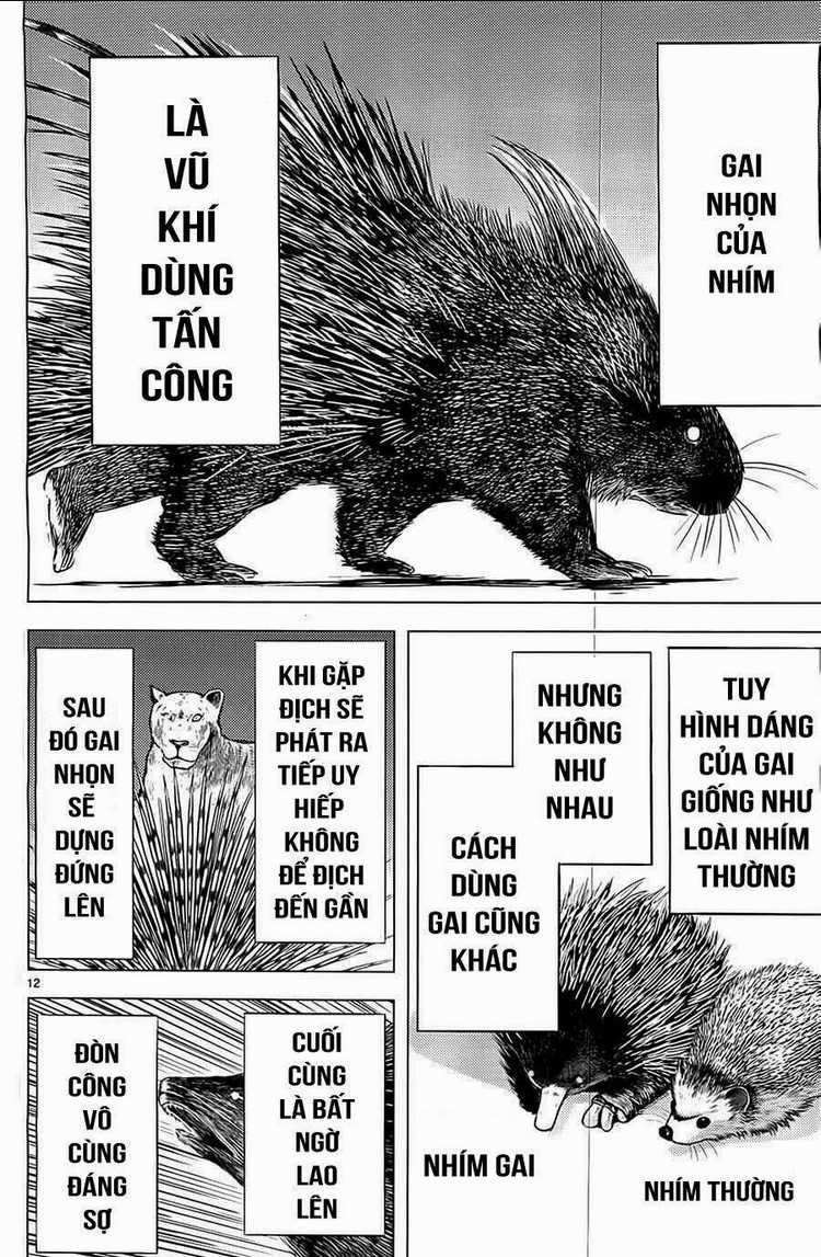 Killing Bites - Chapter 3 - Trang 12