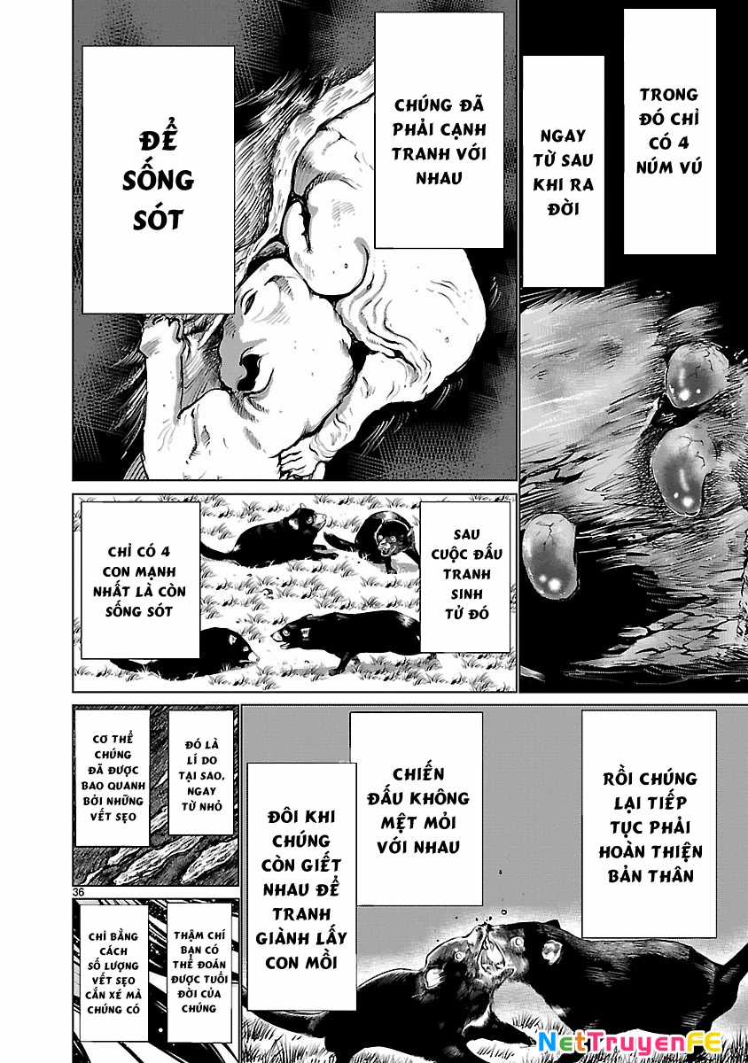 Killing Bites - Chapter 36 - Trang 39