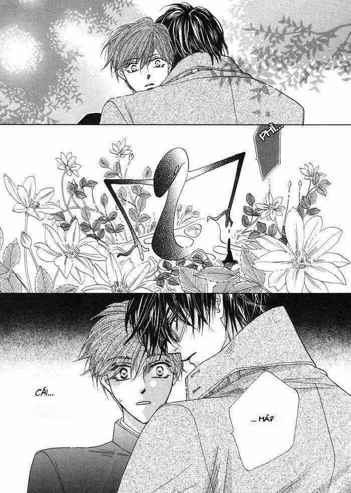 Kim Cương Bạc - Chapter 1 - Trang 30