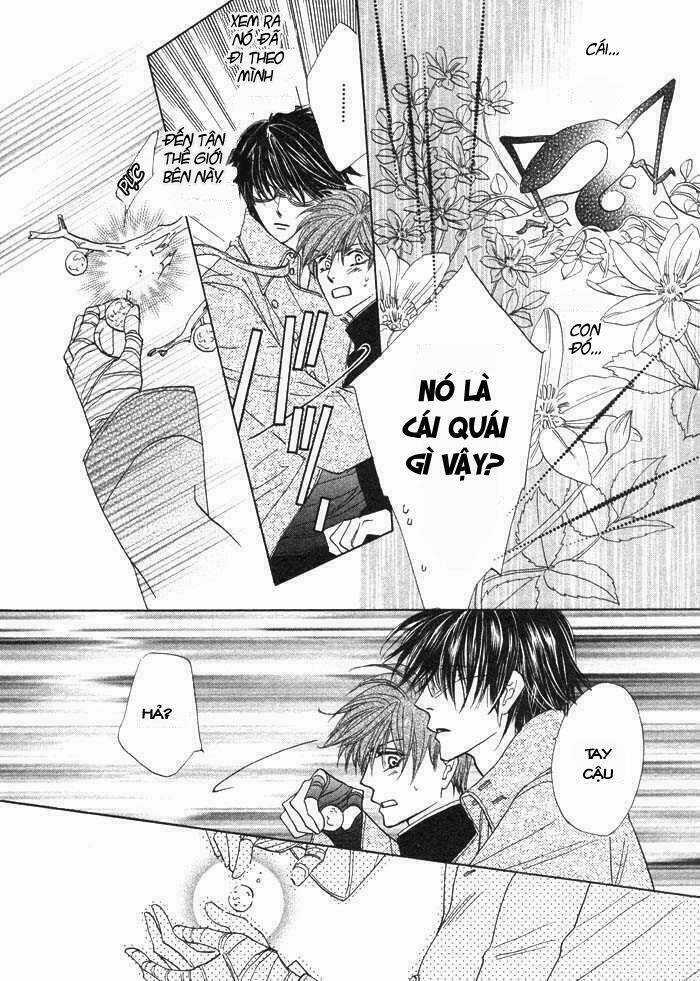 Kim Cương Bạc - Chapter 1 - Trang 31