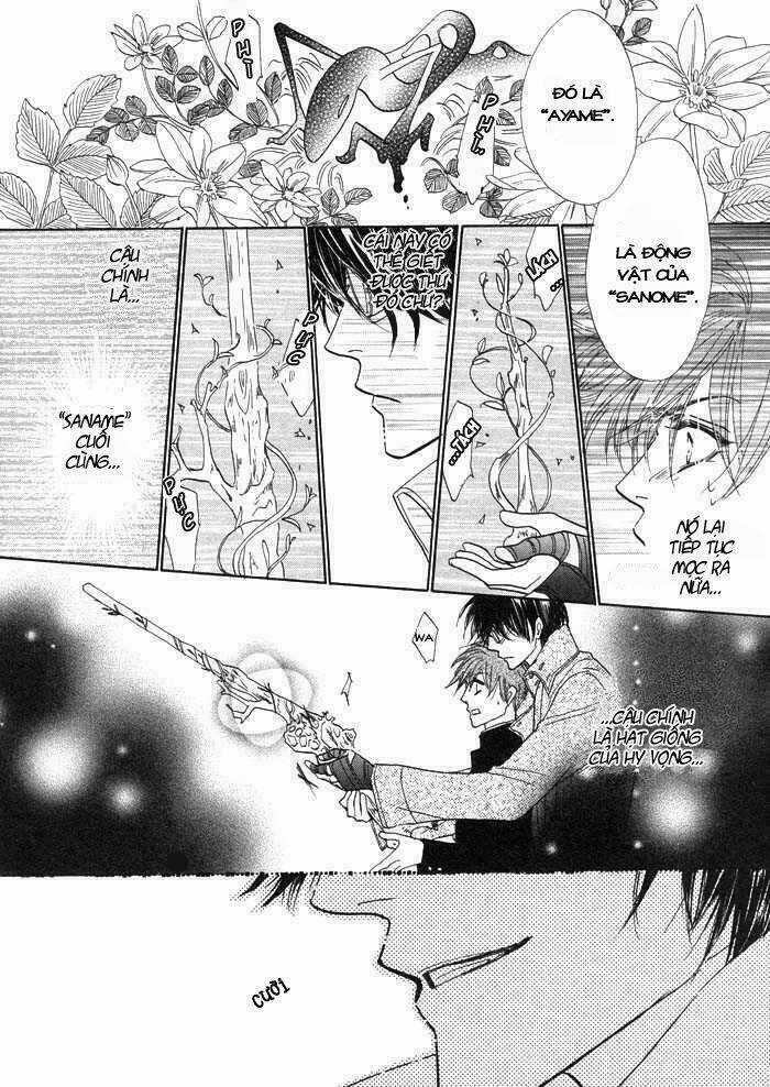 Kim Cương Bạc - Chapter 1 - Trang 33