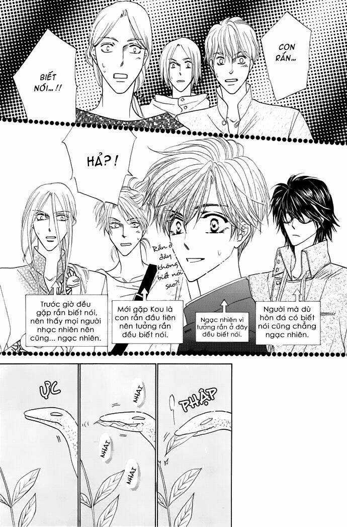 Kim Cương Bạc - Chapter 13 - Trang 31