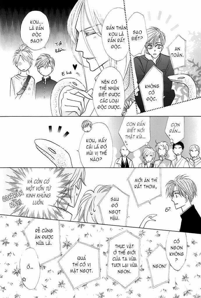 Kim Cương Bạc - Chapter 13 - Trang 32