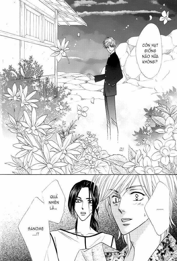 Kim Cương Bạc - Chapter 13 - Trang 8