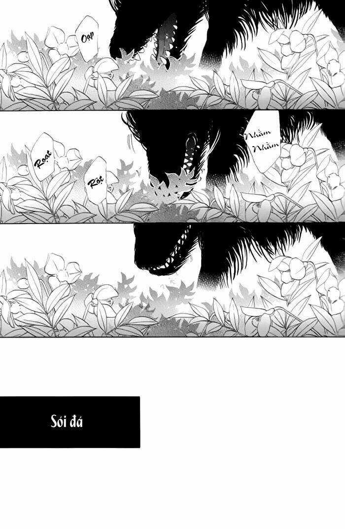 Kim Cương Bạc - Chapter 19 - Trang 5