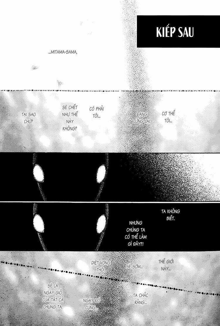 Kim Cương Bạc - Chapter 22 - Trang 8