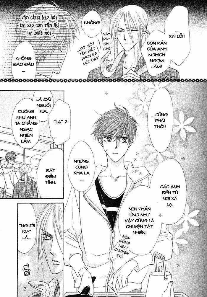 Kim Cương Bạc - Chapter 3 - Trang 5